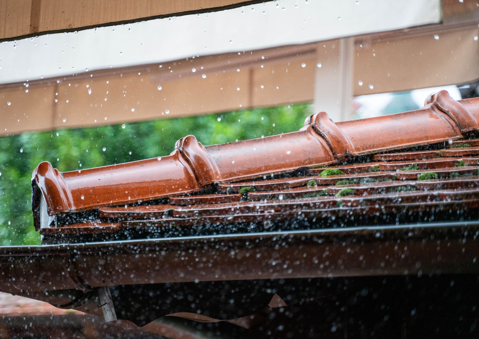 Fascia Repair – Florence